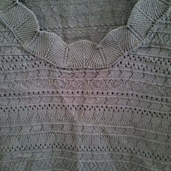 Knit Mix Solid Scallop Trim Knit Top - Picture 3 of 5